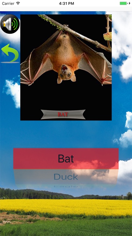 اسماء و اصوات الحيوانات