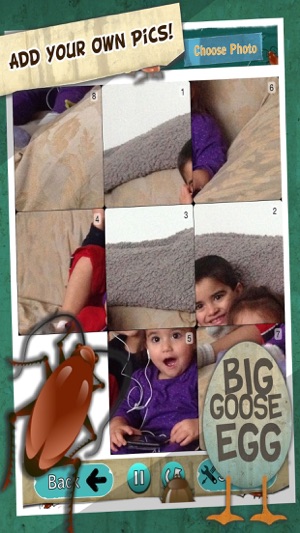 InsectiSlide Bugs Photo Tile Puzzle(圖4)-速報App