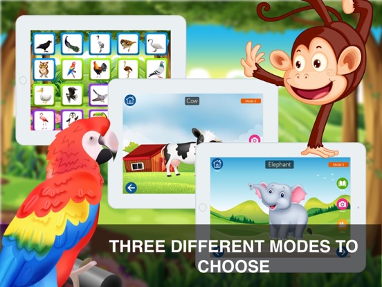 Screenshot #5 pour Tout en un Cartes Flash