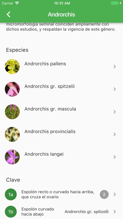 Iberian Orchids screenshot-5