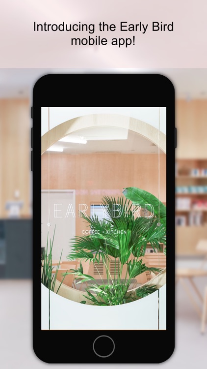 Early Bird Kitchen and Cafe