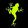 Jumping Frog Fitness Sarasota