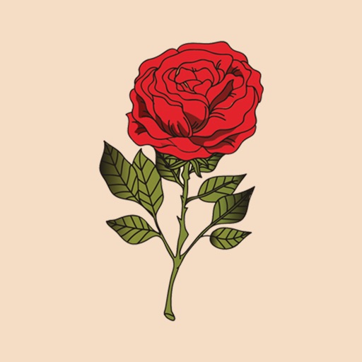 Beautiful rose - sticker pack iOS App