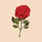 Beautiful rose - sticker pack