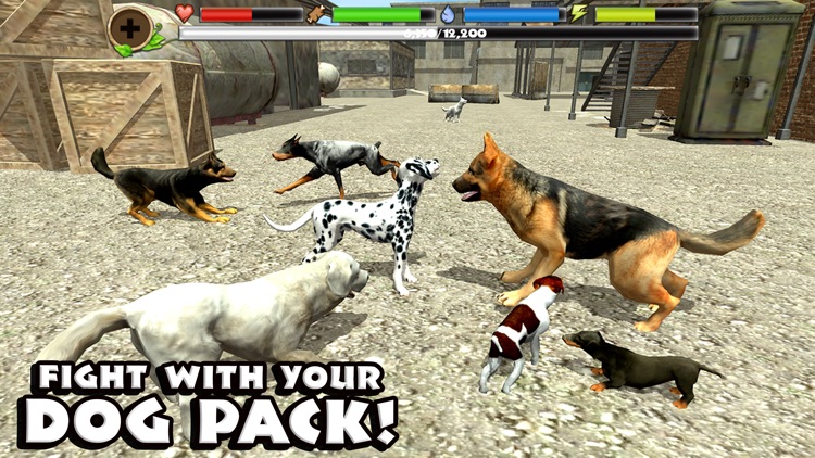 Stray Dog Simulator