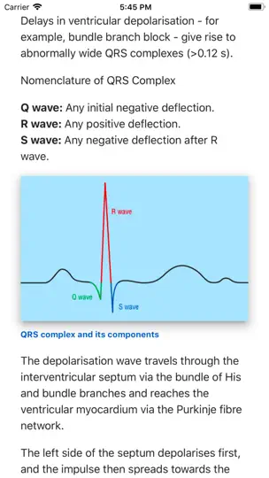 ECG Basics Lite: ECG Made Easy iPhone Screenshot 1