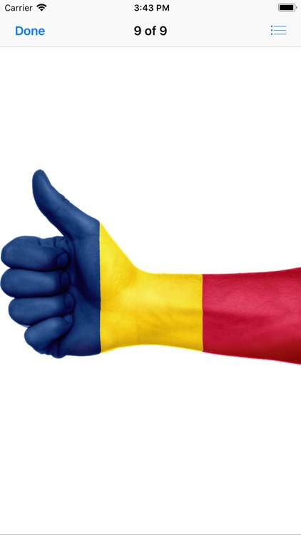 Thumbs Up Flag Sticker Pack screenshot-9