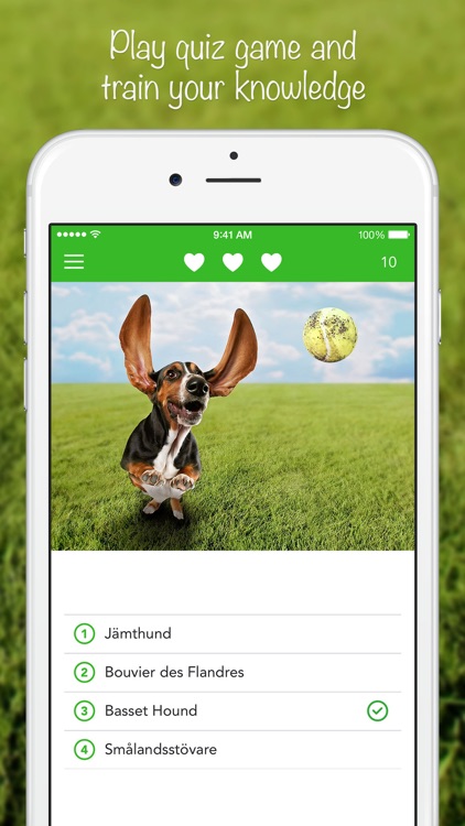 iKnow Dogs 2 LITE screenshot-3