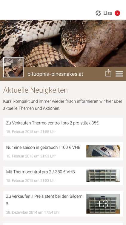 pituophis-pinesnakes.at