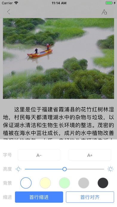 中国绿色时报 screenshot 2