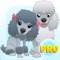 Get over 100 unique toy poodle emojis to text your friends and loved ones