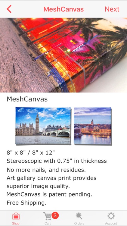 Canvas Prints by MeshCanvas screenshot-6