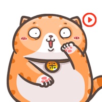 Chubby Cat Stickers Animated app icon - Stickers app for iPhone