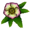 FlowerMoji (Official) delete, cancel