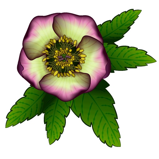 FlowerMoji (Official) icon