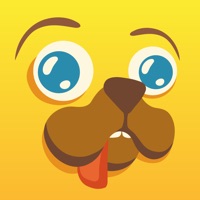 Kontakt Jolly Dog: Game For Pets
