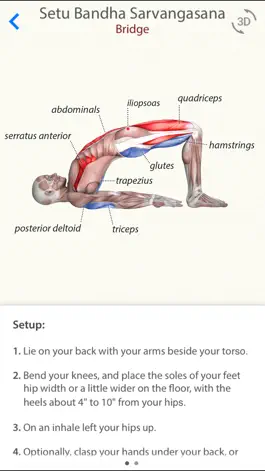 Game screenshot 3D Yoga Anatomy Lite apk