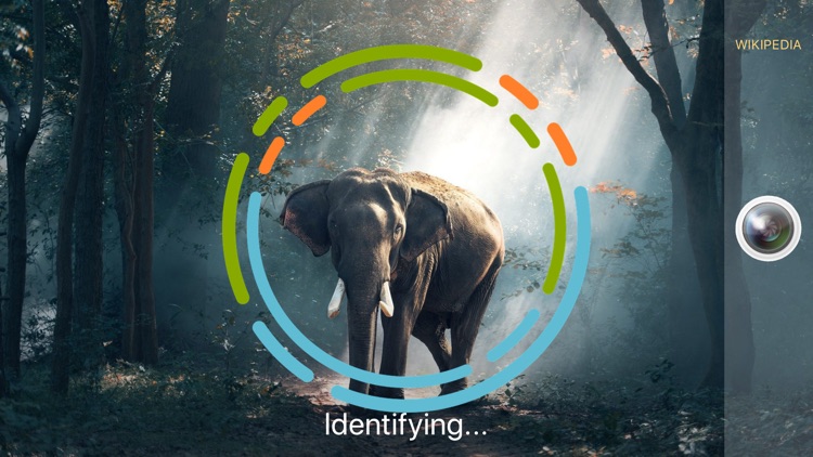 AnimalSnap - Animal Identifier