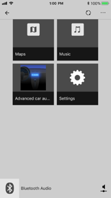 Advanced car audio setting screenshot