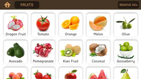 Spanish & English for Kids