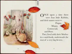 PopOut! The Tale of Peter Rabbit - Potter iPad image 2