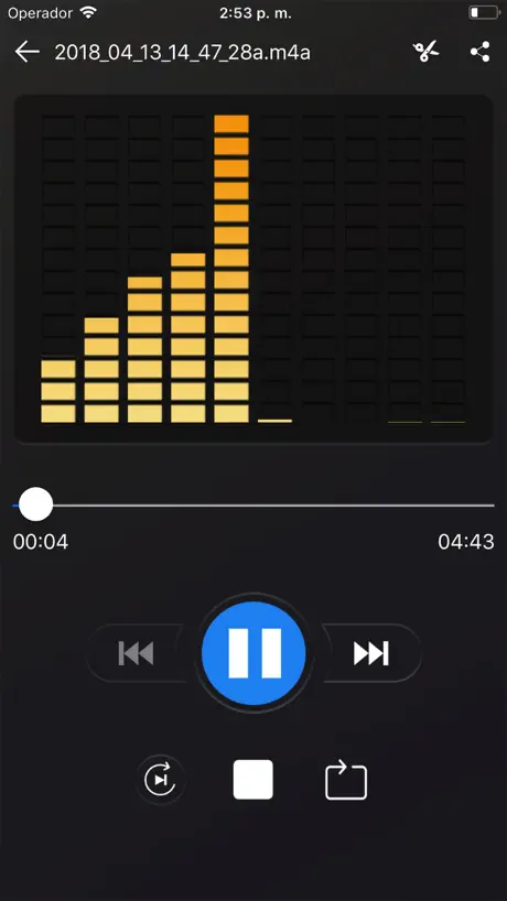 Voice recorder - Voz