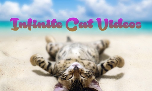 Infinite Cat Videos — Funny Internet Clips