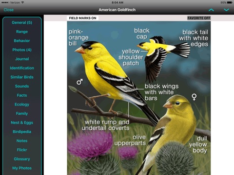 iBird Lite Guide to Birds screenshot 2