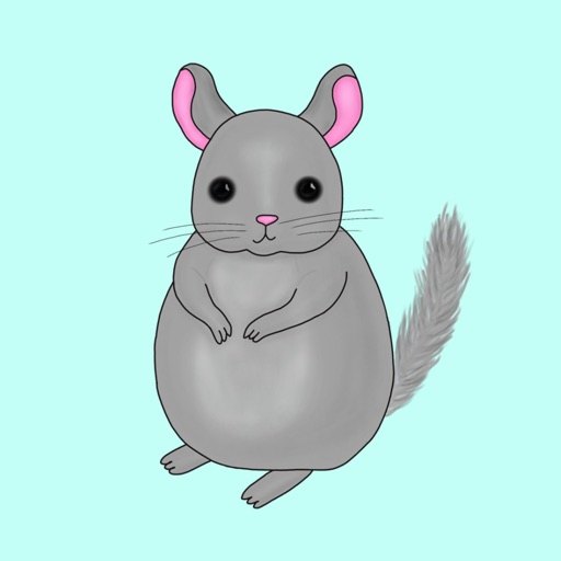 Little Chinchilla