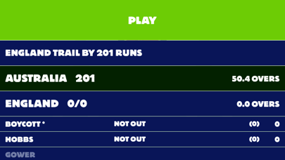 Touch Cricket Screenshot