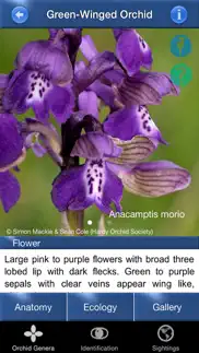 orchid id - british orchids iphone screenshot 3