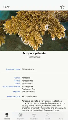 Game screenshot Corals, by Reef Life apk
