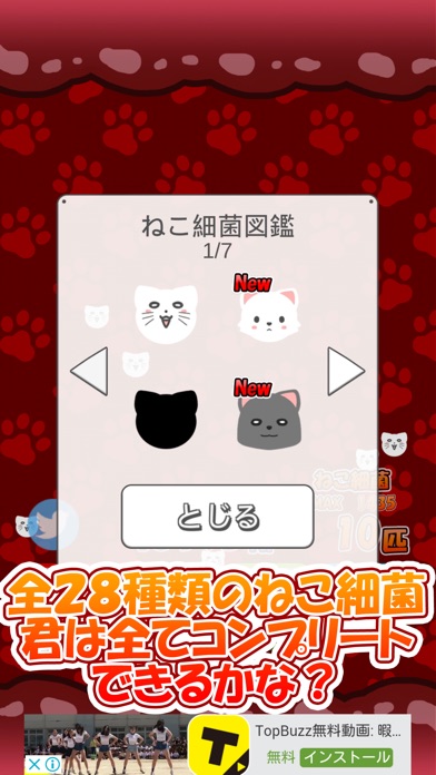 ねこ細菌 screenshot 3