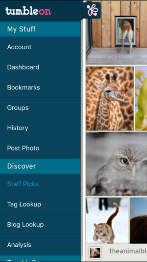 TumbleOn - View Tumblr Images(圖5)-速報App