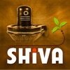 Ashtakam for Lord Shiva