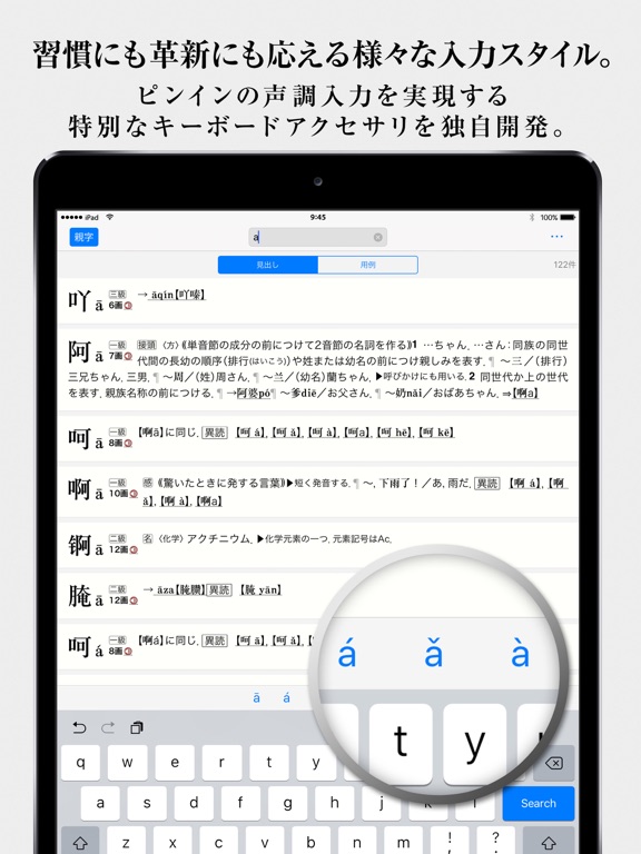 中日・日中辞典【第3版】 iPad screenshot