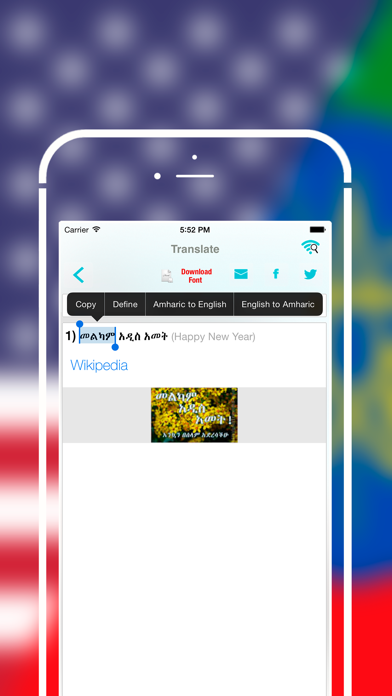 Offline Amharic to English Language Dictionaryのおすすめ画像3