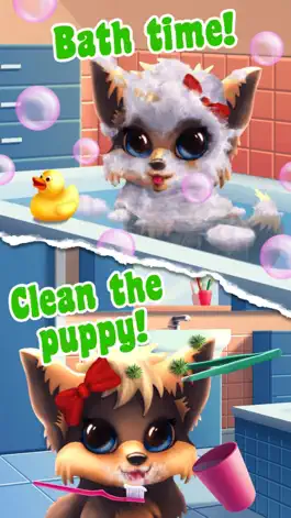 Game screenshot My Cute Dog Bella mod apk