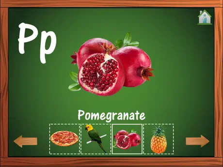 ABC English Alphabets Letters