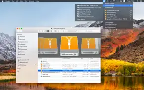 zipmounter lite айфон картинки 1