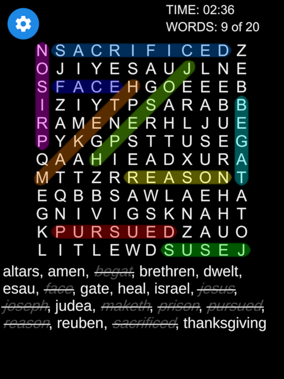 Bible Word Search Puzzle iPad screenshot 4 - Games app