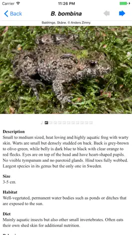 Game screenshot Reptiles and Amphibians of Sweden hack