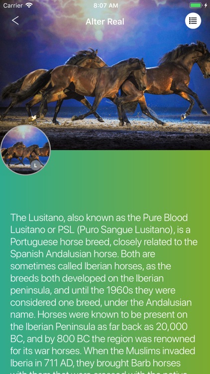 Horses 2.0 screenshot-4
