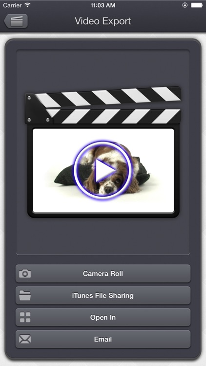 Video Audio Remover - HD