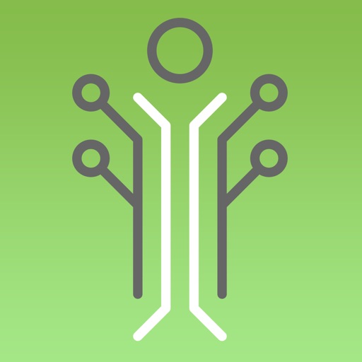 КомпэлФест 2019