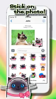 cat stickers: cutie sima iphone screenshot 4