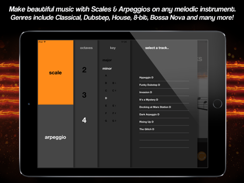 ScaleTracks screenshot 3