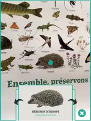 animalia by vinci autoroutes iPad Captures Décran 2