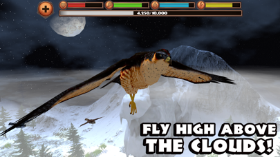Falcon Simulator Screenshot