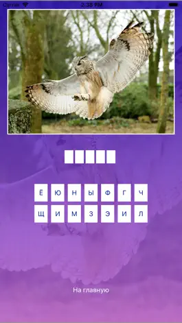 Game screenshot Птицы - Викторина hack